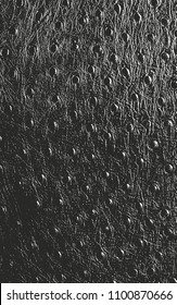Distressed overlay texture of crocodile or snake skin leather, grunge vector background.