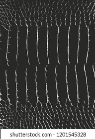 Distressed overlay texture of crocodile or snake skin leather, grunge vector background.