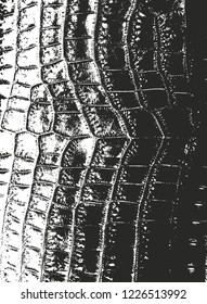 Distressed overlay texture of crocodile or snake skin leather, grunge vector background.