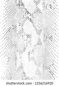 Distressed overlay texture of crocodile or snake skin leather, grunge vector background.