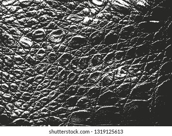 Distressed overlay texture of crocodile or snake skin leather, grunge background. abstract halftone vector illustration