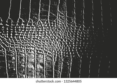 Distressed overlay texture of crocodile or snake skin leather, grunge background. abstract halftone vector illustration