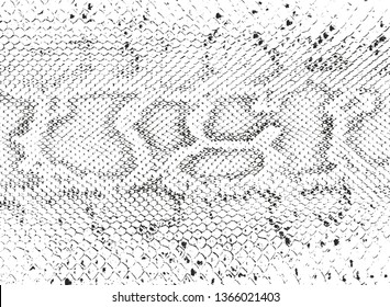 Distressed overlay texture of crocodile or snake skin leather, grunge background. abstract halftone vector illustration