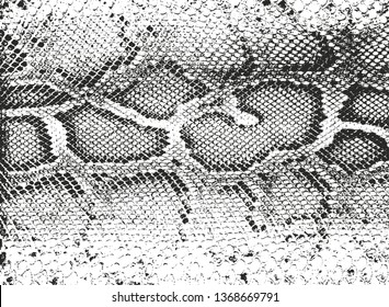 Distressed overlay texture of crocodile or snake skin leather, grunge background. abstract halftone vector illustration