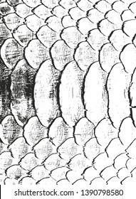 Distressed overlay texture of crocodile or snake skin leather, grunge background. abstract halftone vector illustration