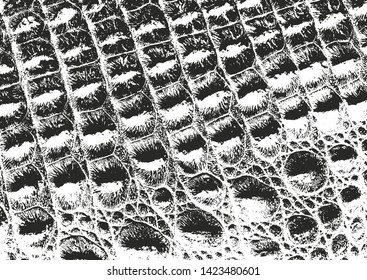 Distressed overlay texture of crocodile or snake skin leather, grunge background. abstract halftone vector illustration