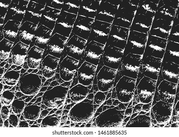 Distressed overlay texture of crocodile or snake skin leather, grunge background. abstract halftone vector illustration