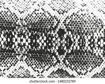 Distressed overlay texture of crocodile or snake skin leather, grunge background. abstract halftone vector illustration