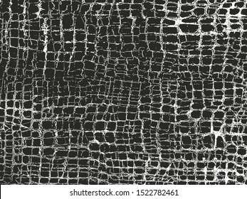 17,021 Black alligator skin Images, Stock Photos & Vectors | Shutterstock