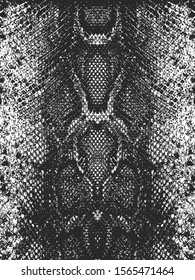 Distressed overlay texture of crocodile or snake skin leather, grunge background. abstract halftone vector illustration