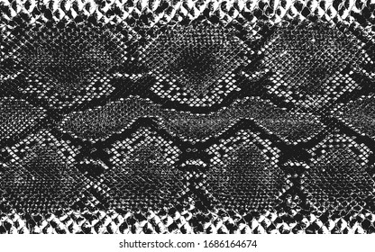 Distressed overlay texture of crocodile or snake skin leather, grunge background. abstract halftone vector illustration