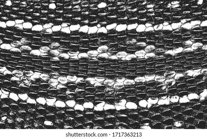 Distressed overlay texture of crocodile or snake skin leather, grunge background. abstract halftone vector illustration