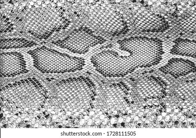 Distressed overlay texture of crocodile or snake skin leather, grunge background. abstract halftone vector illustration