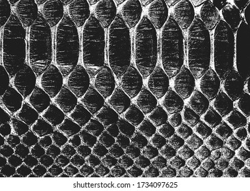 Distressed overlay texture of crocodile or snake skin leather, grunge background. abstract halftone vector illustration