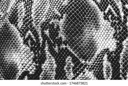 Distressed overlay texture of crocodile or snake skin leather, grunge background. abstract halftone vector illustration