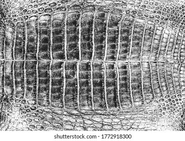 Distressed overlay texture of crocodile or snake skin leather, grunge background. abstract halftone vector illustration