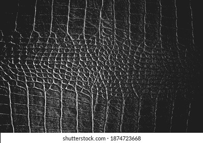 Distressed overlay texture of crocodile or snake skin leather, grunge background. abstract halftone vector illustration