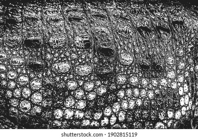 Textura superpuesta angustiada de cuero de cocodrilo o piel de serpiente, fondo granulado. ilustración abstracta de vector de medio tono