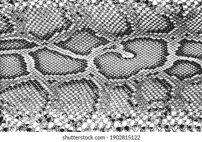 Distressed overlay texture of crocodile or snake skin leather, grunge background. abstract halftone vector illustration