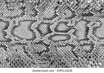 Textura superpuesta angustiada de cuero de cocodrilo o piel de serpiente, fondo granulado. ilustración abstracta de vector de medio tono