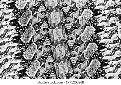 Distressed overlay texture of crocodile or snake skin leather, grunge background. abstract halftone vector illustration