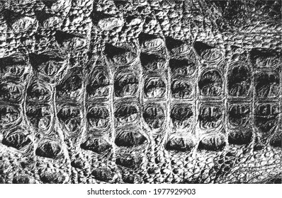 Distressed overlay texture of crocodile or snake skin leather, grunge background. abstract halftone vector illustration