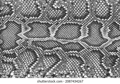 Distressed overlay texture of crocodile or snake skin leather, grunge background. abstract halftone vector illustration