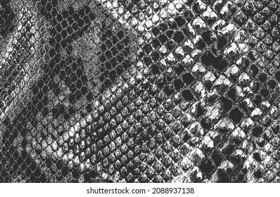 Textura superpuesta angustiada de cuero de cocodrilo o piel de serpiente, fondo granulado. ilustración abstracta de vector de medio tono