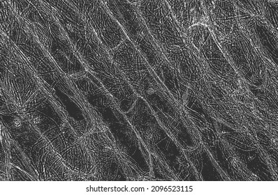 Distressed overlay texture of crocodile or snake skin leather, grunge background. abstract halftone vector illustration