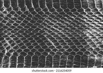 Distressed overlay texture of crocodile or snake skin leather, grunge background. abstract halftone vector illustration