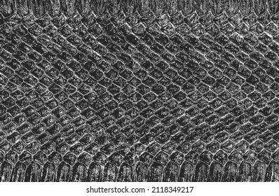 Distressed overlay texture of crocodile or snake skin leather, grunge background. abstract halftone vector illustration