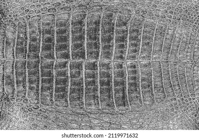 Distressed overlay texture of crocodile or snake skin leather, grunge background. abstract halftone vector illustration