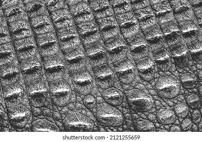 Textura superpuesta angustiada de cuero de cocodrilo o piel de serpiente, fondo granulado. ilustración abstracta de vector de medio tono