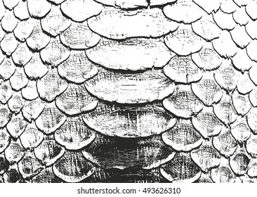 Distressed overlay texture of crocodile or snake skin leather, grunge vector background.