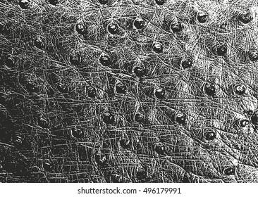 Distressed overlay texture of crocodile or snake skin leather, grunge vector background.