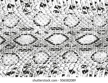 Distressed overlay texture of crocodile or snake skin leather, grunge vector background.