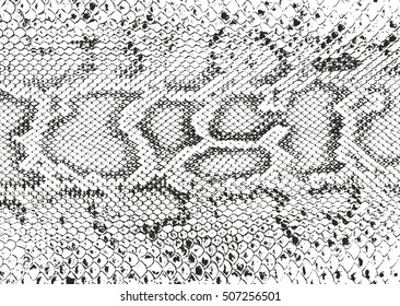 Distressed overlay texture of crocodile or snake skin leather, grunge vector background.