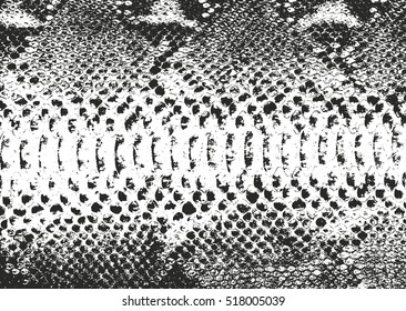 Distressed overlay texture of crocodile or snake skin leather, grunge vector background.