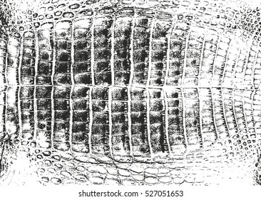 Distressed overlay texture of crocodile or snake skin leather, grunge vector background.