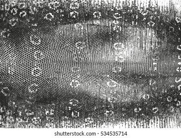Distressed overlay texture of crocodile or snake skin leather, grunge vector background.