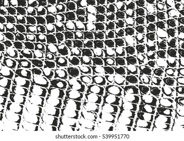 Distressed overlay texture of crocodile or snake skin leather, grunge vector background.