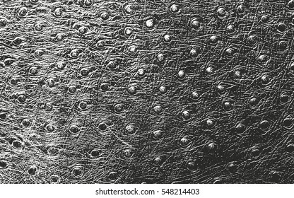 Distressed overlay texture of crocodile or snake skin leather, grunge vector background.