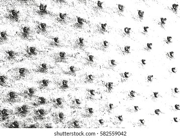 Distressed overlay texture of crocodile or snake skin leather, grunge vector background.