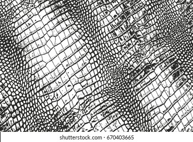 Distressed Overlay Texture Of Crocodile Or Snake Skin Leather, Grunge Vector Background.