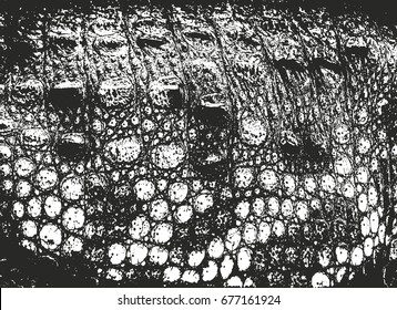 Distressed overlay texture of crocodile or snake skin leather, grunge vector background.