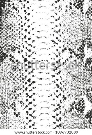 Distressed overlay texture of crocodile or snake skin leather, grunge vector background.