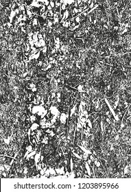 Distressed overlay texture of ground with dry leaves. grunge background. abstract halftone vector illustration