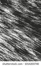 Distressed overlay texture of natural fur, grunge vector background. abstract halftone vector illustration