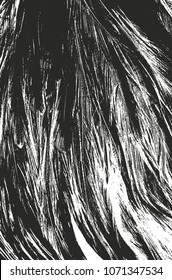 Distressed overlay texture of natural fur, grunge vector background. abstract halftone vector illustration