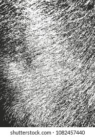 Distressed overlay texture of natural fur, grunge vector background. abstract halftone vector illustration